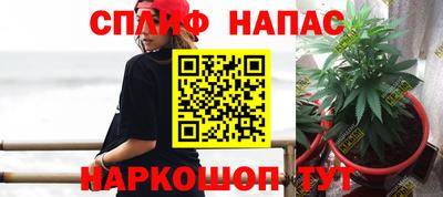 дживик Ставрополь